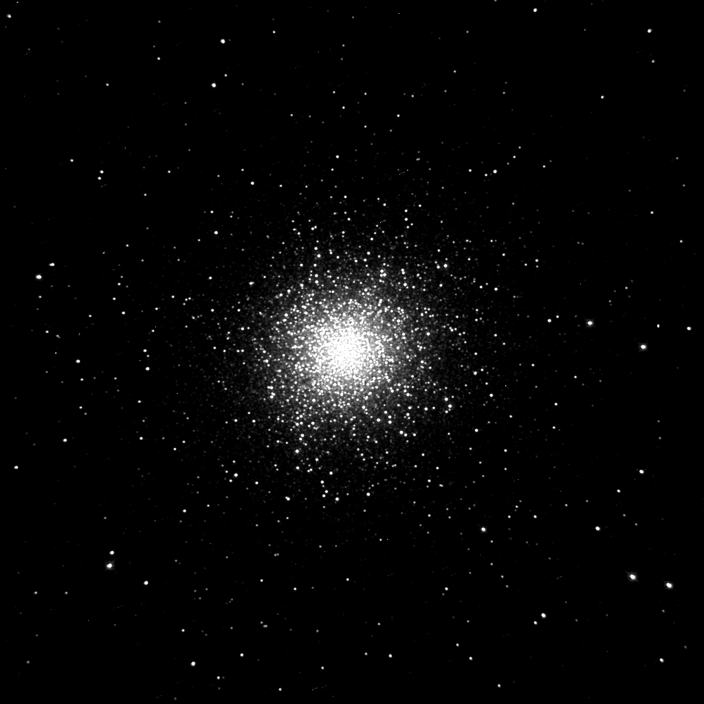 M13