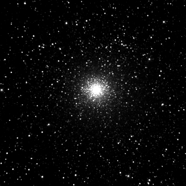 M54