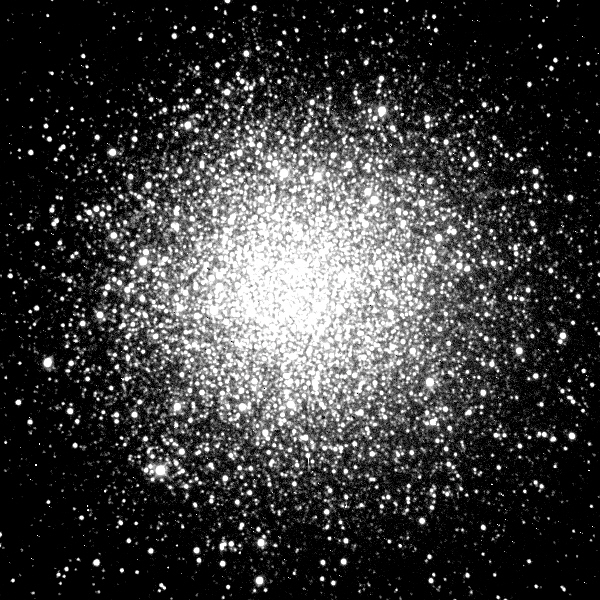 M55